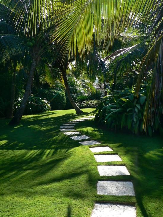 tropical-landscape-550x734